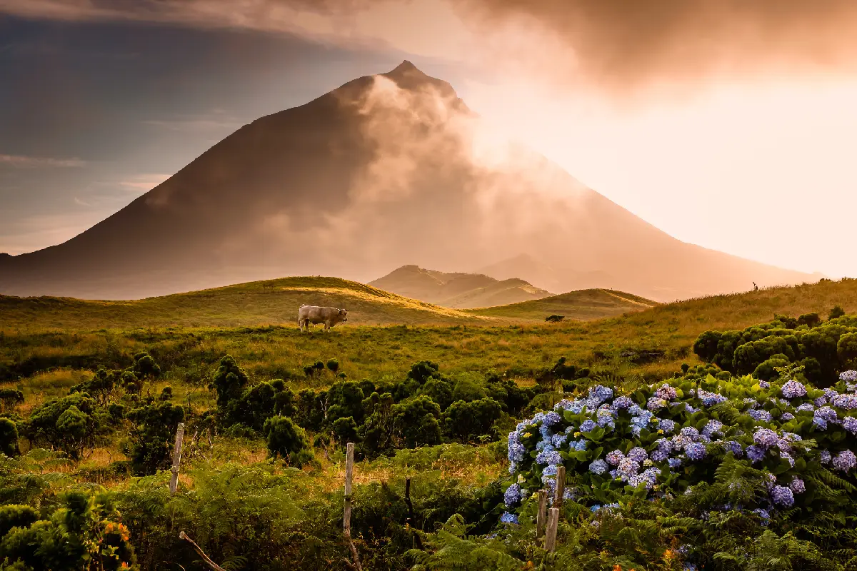 Foto de paisagem da Ilha dos Açores
