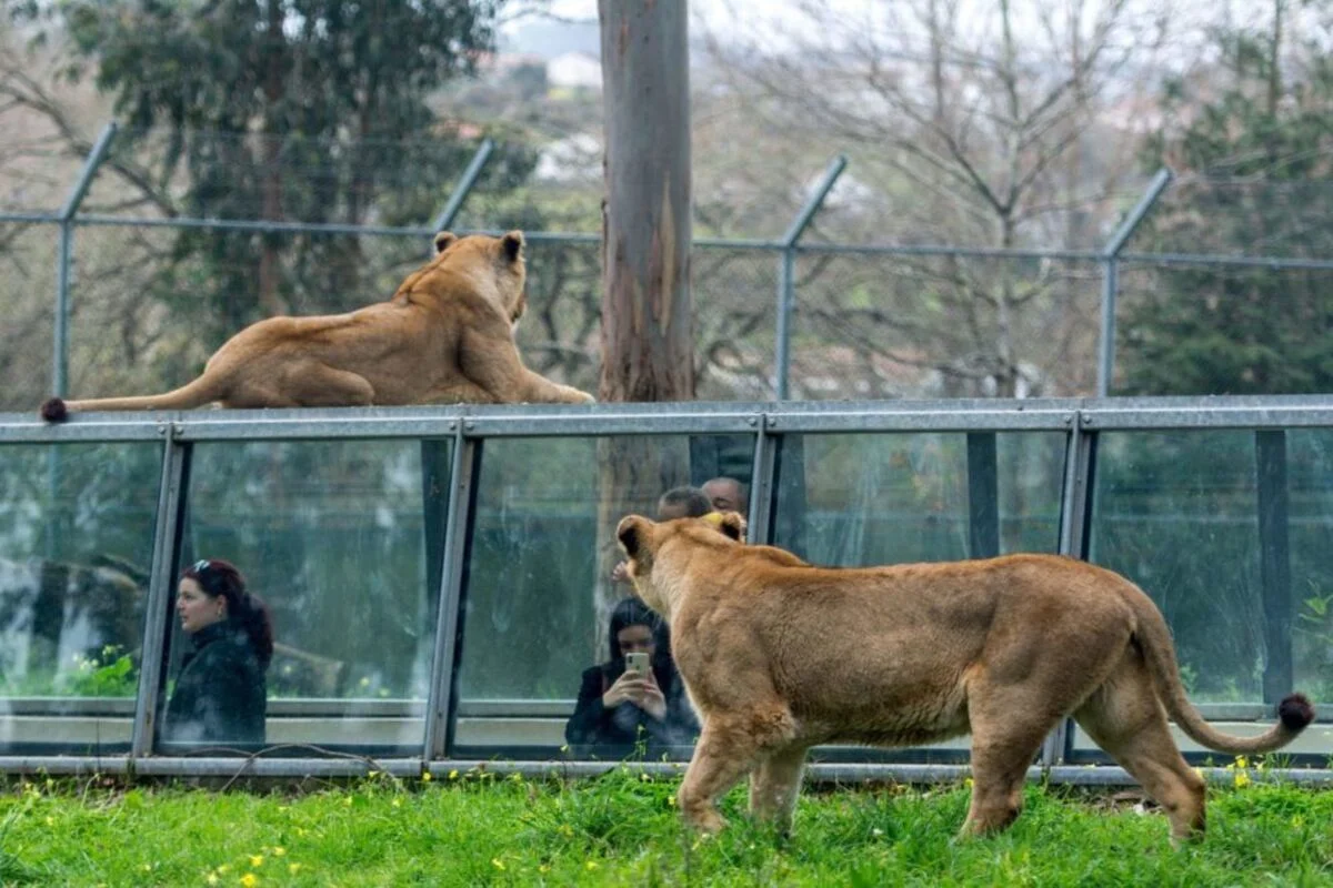Jardim Zoológico de Santo Inácio