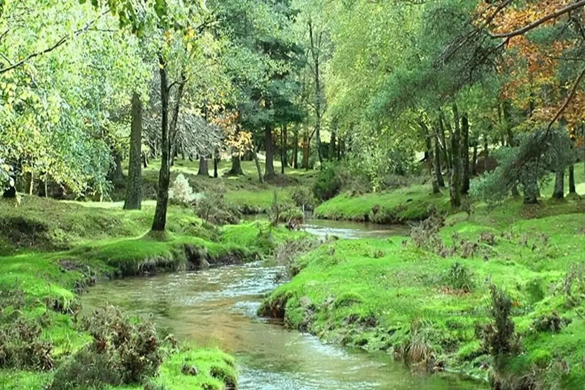 Parques nacionais de Portugal