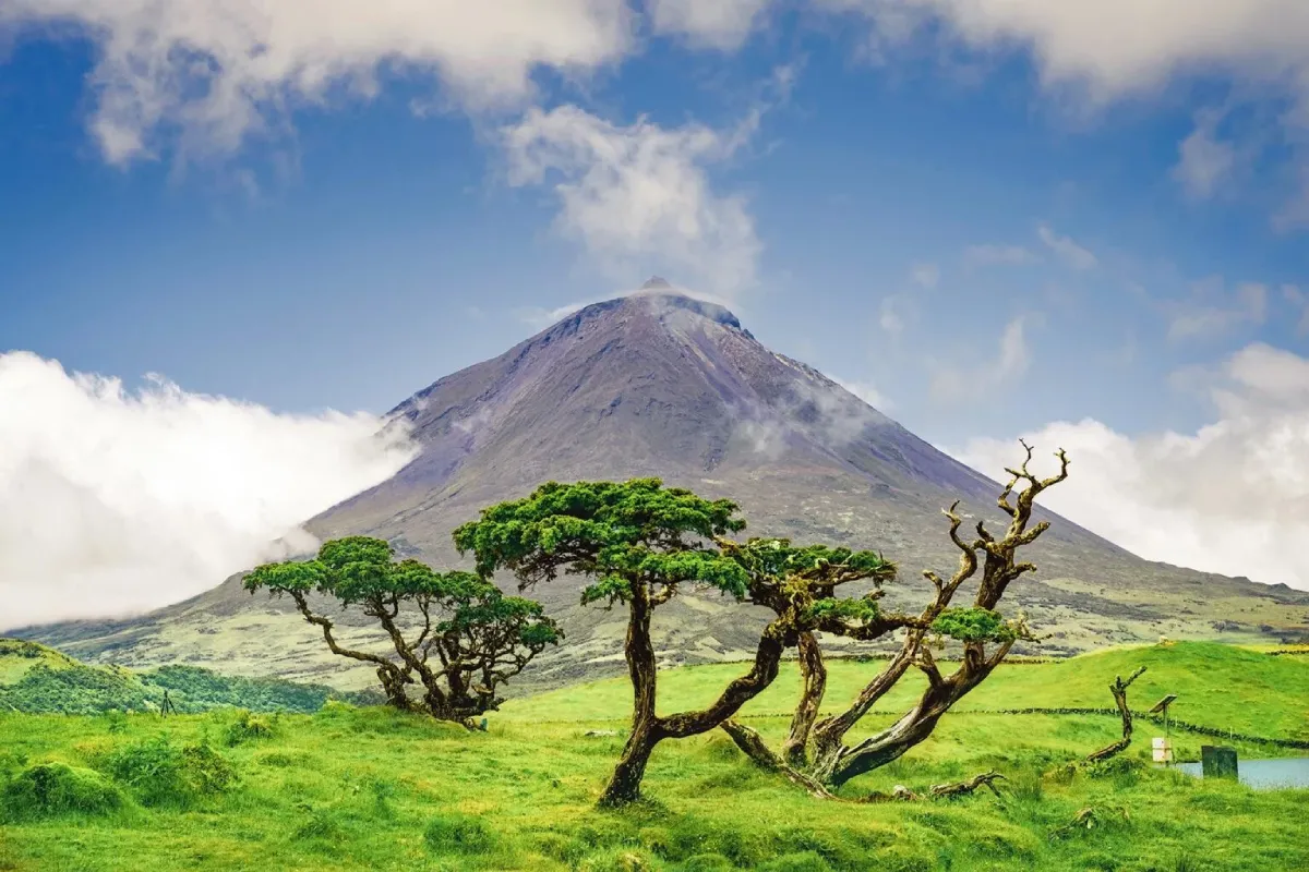 Ilha do Pico