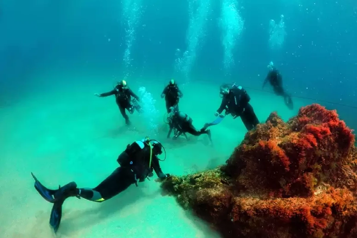 Mergulho na Reserva das Berlengas