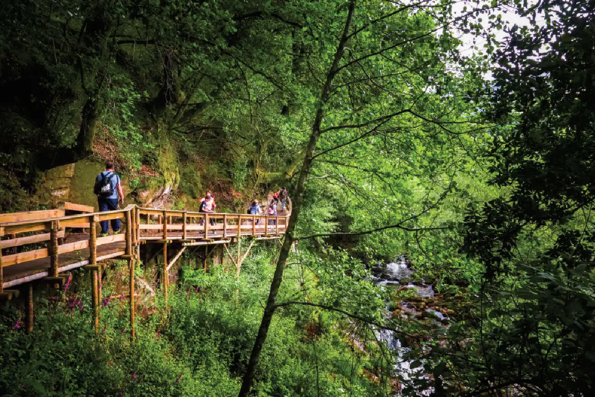 Pontes e passadiços de Portugal