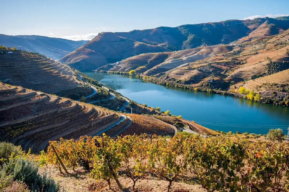 Rota dos Vinhos em Portugal