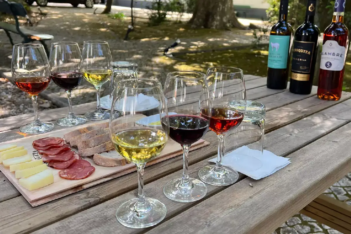 Harmonizações com vinhos lusitanos