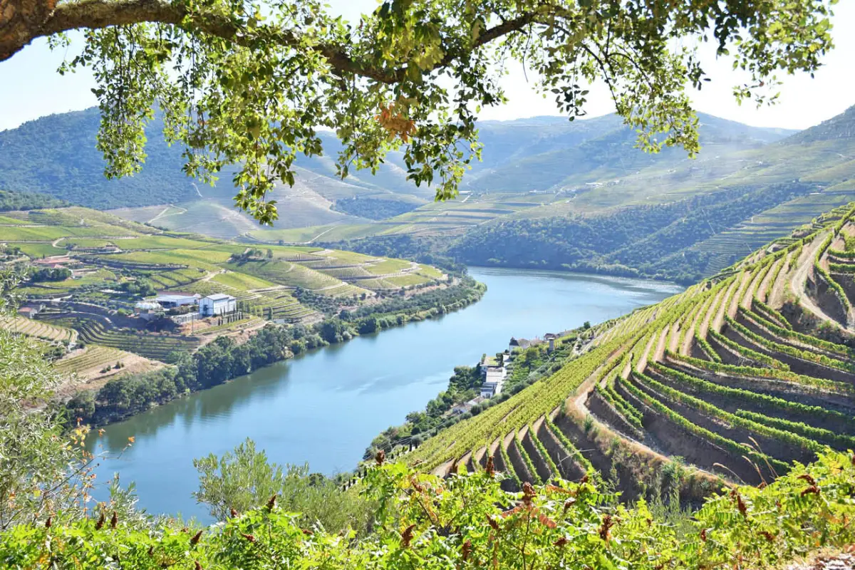 Vale do Douro