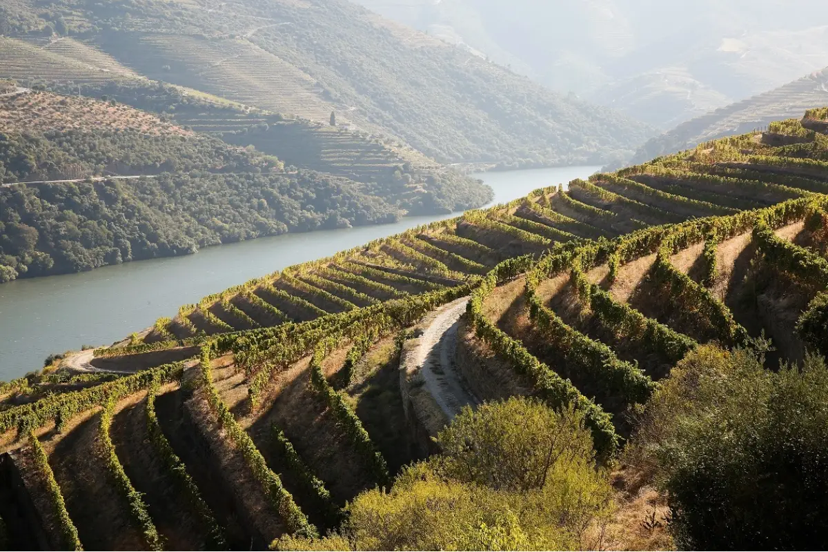 Alto Douro Vinhateiro