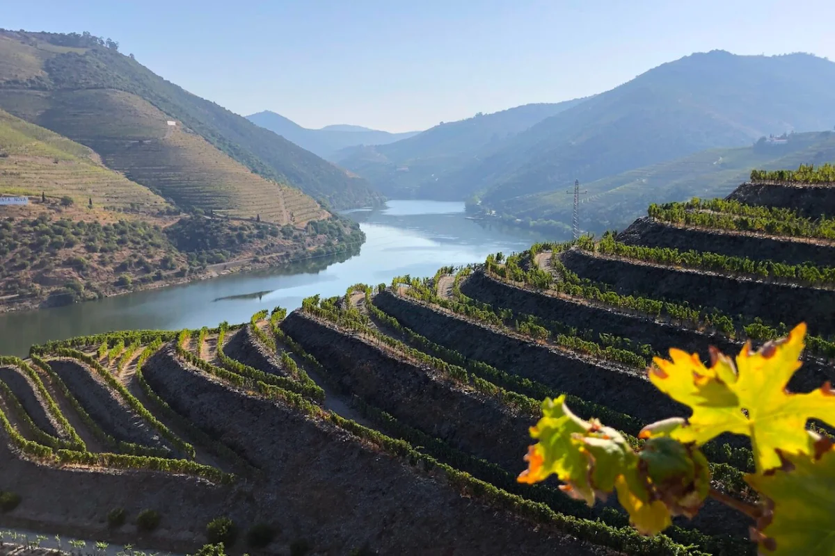 Vale do Douro