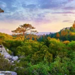 Parque Nacional de Sintra-Cascais