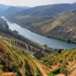 Alto do Douro Vinhateiro