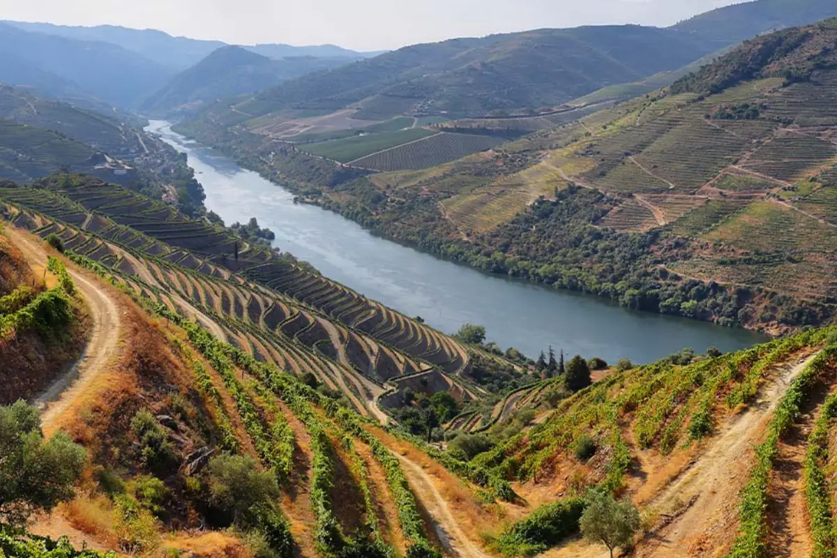 Alto do Douro Vinhateiro