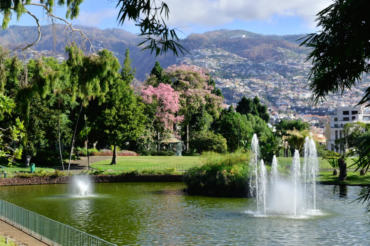 onde-passar-o-réveillon-na-Ilha-da-Madeira 