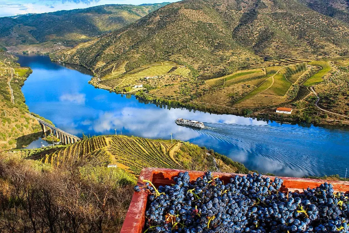 Vale do Douro, no norte de Portugal