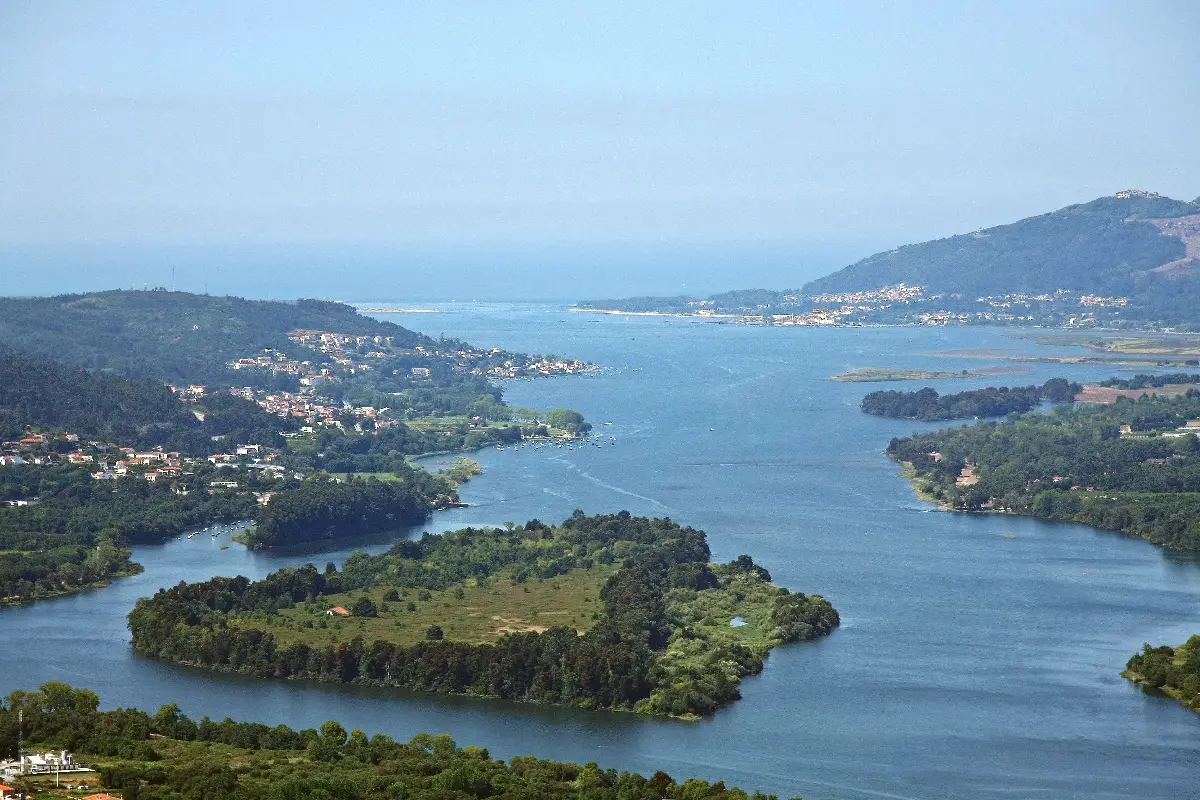 Vinhos do norte de Portugal