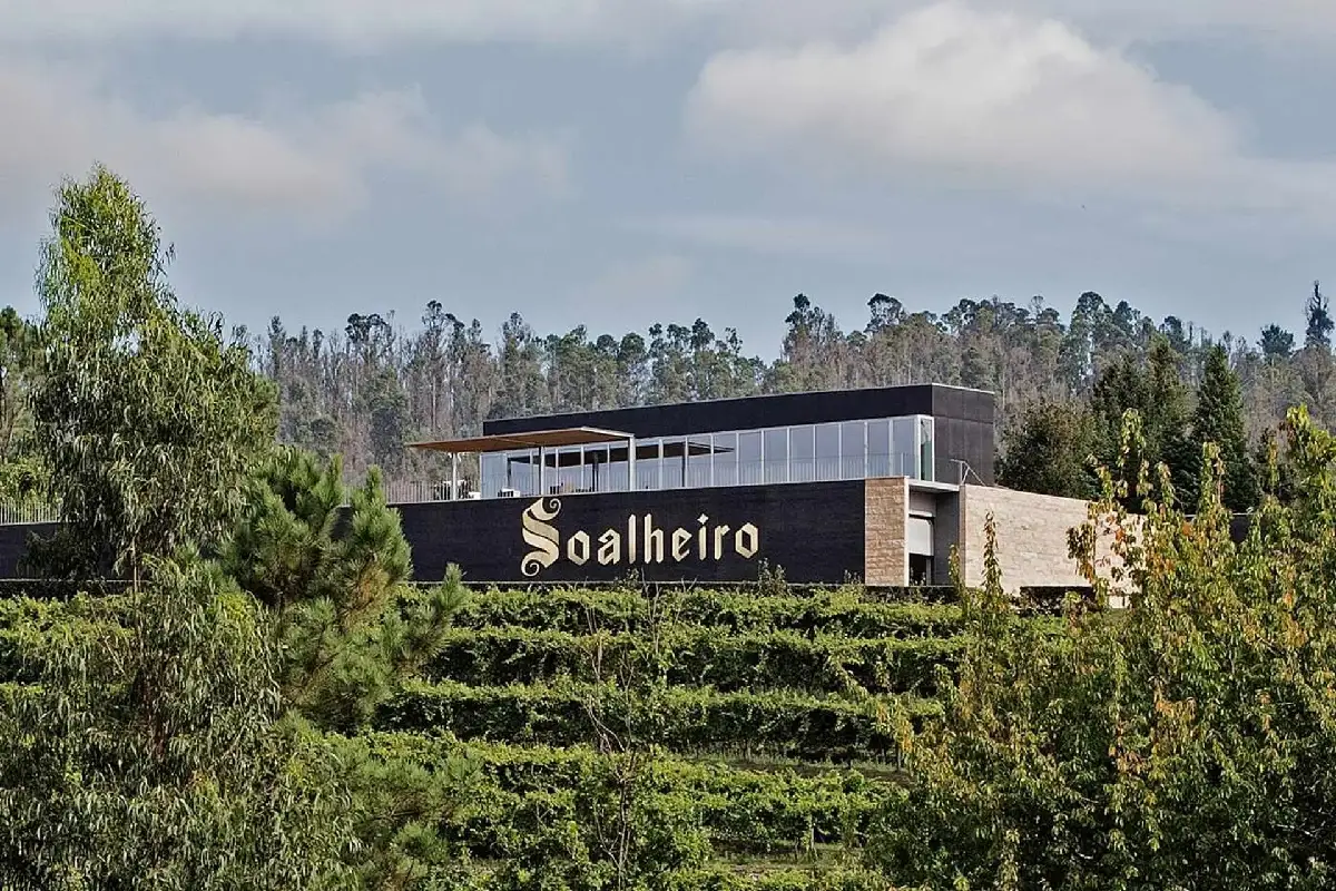 Vinhos do norte de Portugal