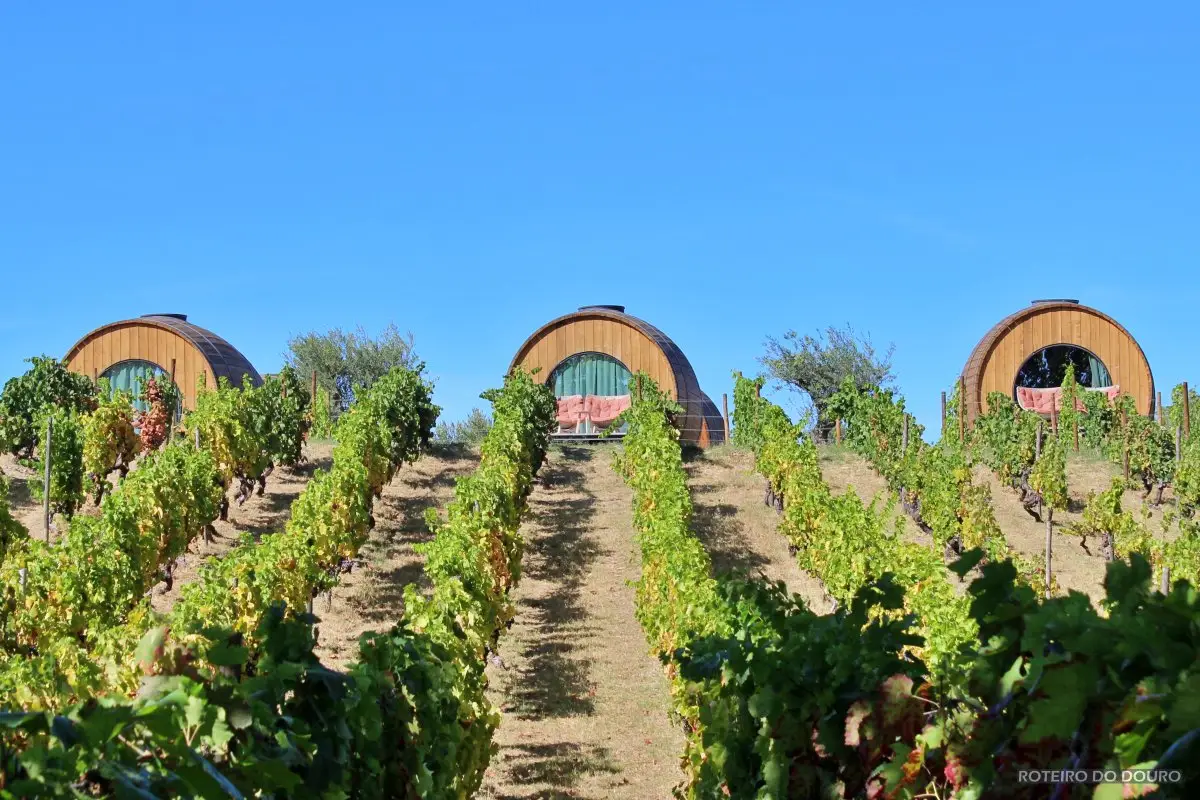 Vinhos do norte de Portugal