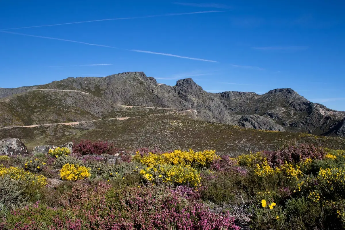 Serra da Estrela na primavera