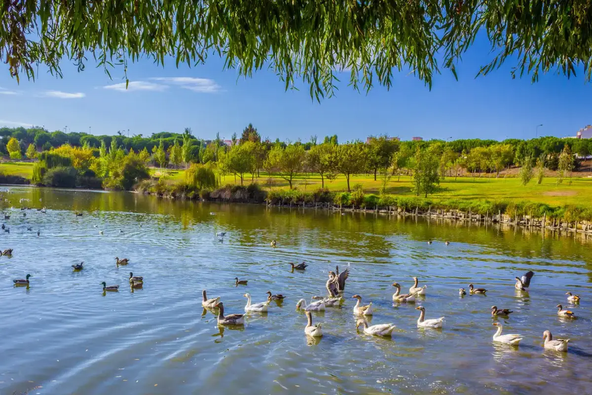 Parque da Paz, em Almada